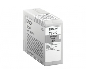Epson SureColor SC-P800 Light Grey, 80 ml (C13T850900)