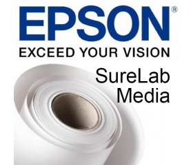 Epson SureLab Pro-S Paper Glossy (A4, 2 рулона, C13S450064)